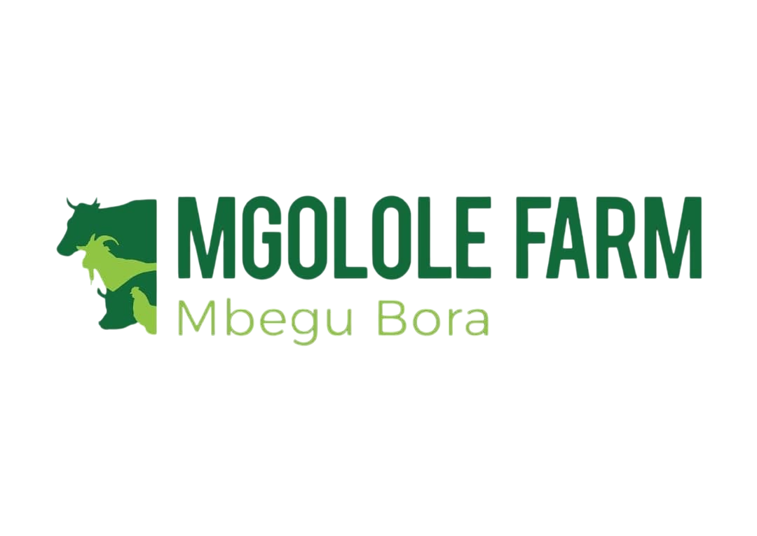 Mgolole - Sustainable Development